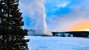 old faithful geyser erupting during winter with snow covering the ground and the sun setting in the background